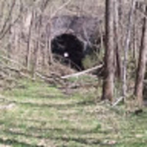 Meet your Posher, Dale